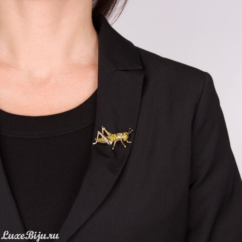 Брошь Moon Paris, Nord, кузнечик, с кристаллами, MoS-21.10-013 бронзовый фото 2