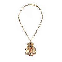 Колье Celeste G, с гербом и кристаллами Swarovski, CS26.1-2148 золотистый
