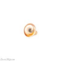 Кольцо Nature Bijoux, Cap Ferret, разъемное, с ракушкой, NB23.1-19-24641 коричневый