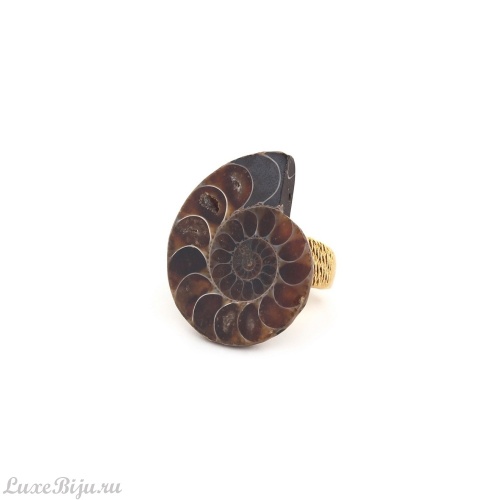 Кольцо Nature Bijoux, Wabi, разъемное, с аммонитом, NB24.2-19-25200 коричневый