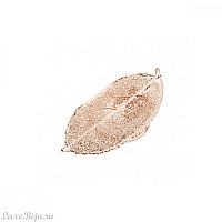 Зажим Ester Bijoux Rose FF33-RG BR