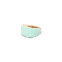 Кольцо Nature Bijoux, Mississippi, из дерева с цветной эмалью, NB25.1-19-25705 бирюзовый, 17,5