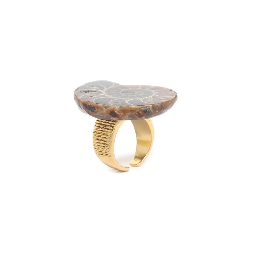 Кольцо Nature Bijoux, Wabi, разъемное, с аммонитом, NB24.2-19-25200 коричневый фото 4