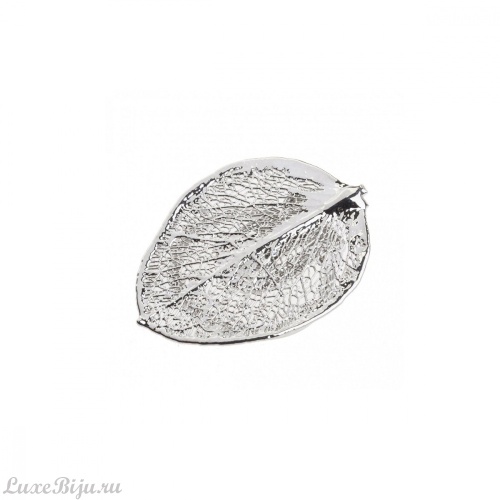 Зажим Ester Bijoux Денежный Лист FF93-S BW