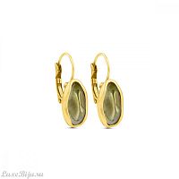 Серьги Ciclon, AORO631-63 BR/G