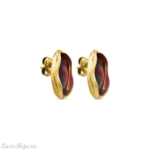 Пусеты Ciclon, AORO636-32 R/G